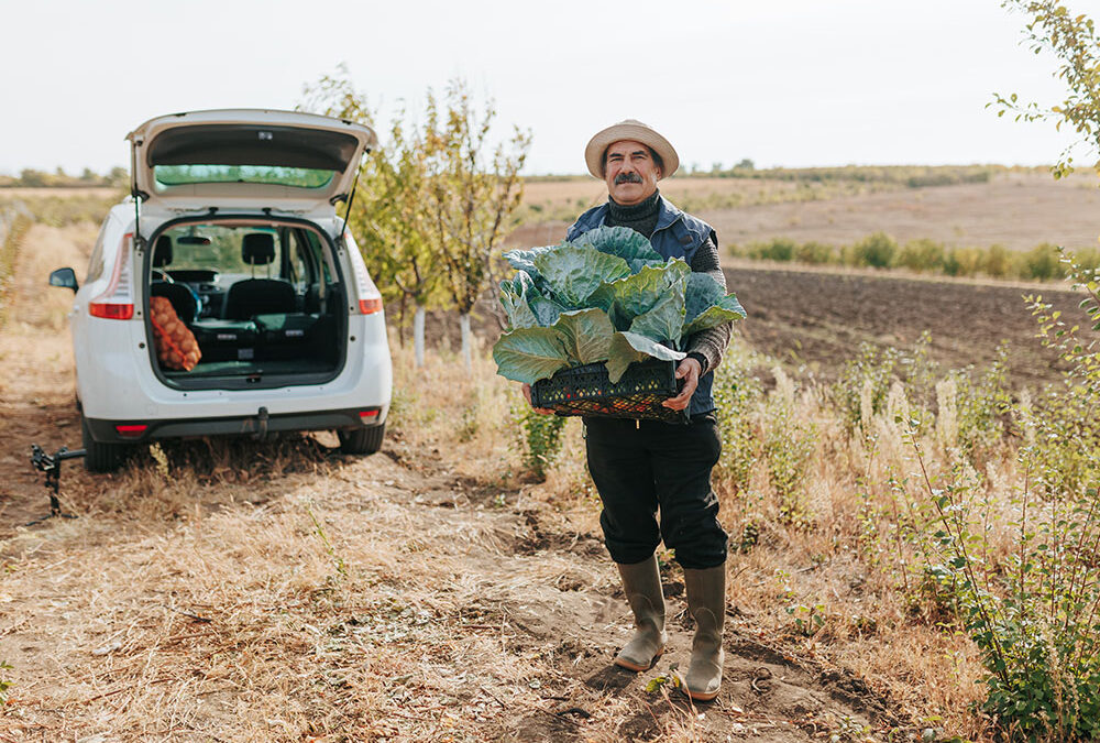 El Alma de Andalucía en la Mesa: Descubre y Apoya a sus Productores Artesanales