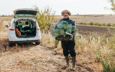 El Alma de Andalucía en la Mesa: Descubre y Apoya a sus Productores Artesanales
